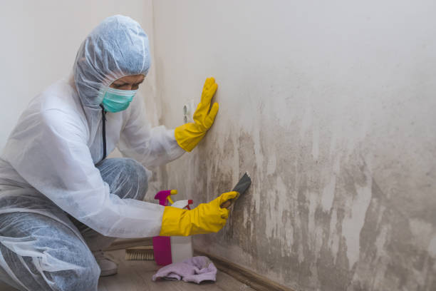 Best Industrial Mold Remediation  in West Yarmouth, MA