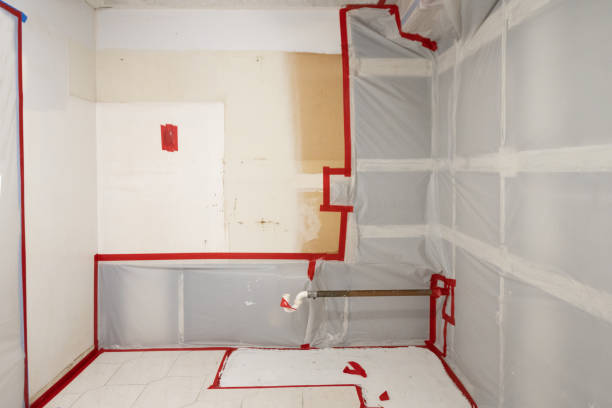 Best Emergency Mold Remediation  in West Yarmouth, MA