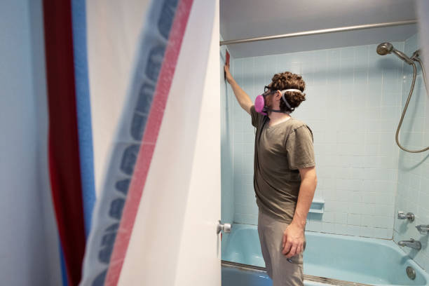 Best Post-Construction Mold Inspection  in West Yarmouth, MA