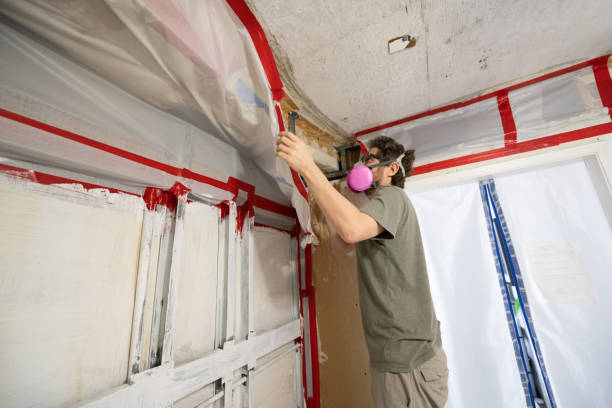 Mold Remediation for Rental Properties in West Yarmouth, MA