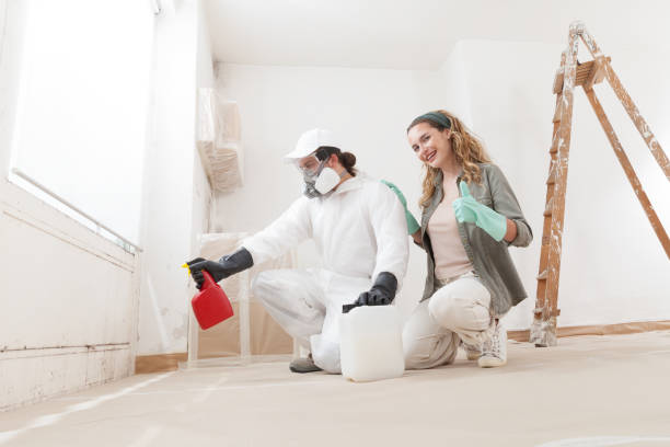 Best Crawl Space Mold Remediation  in West Yarmouth, MA