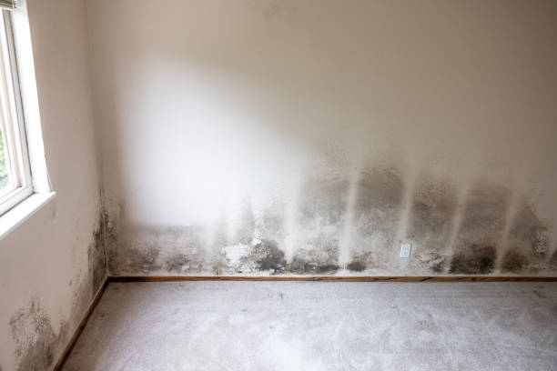 Best HVAC Mold Inspection and Cleaning  in West Yarmouth, MA